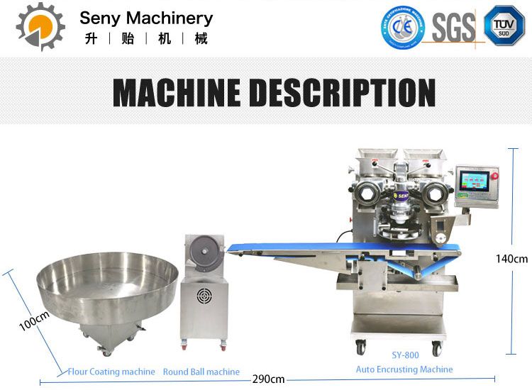 Automatic Protein Ball Production Line